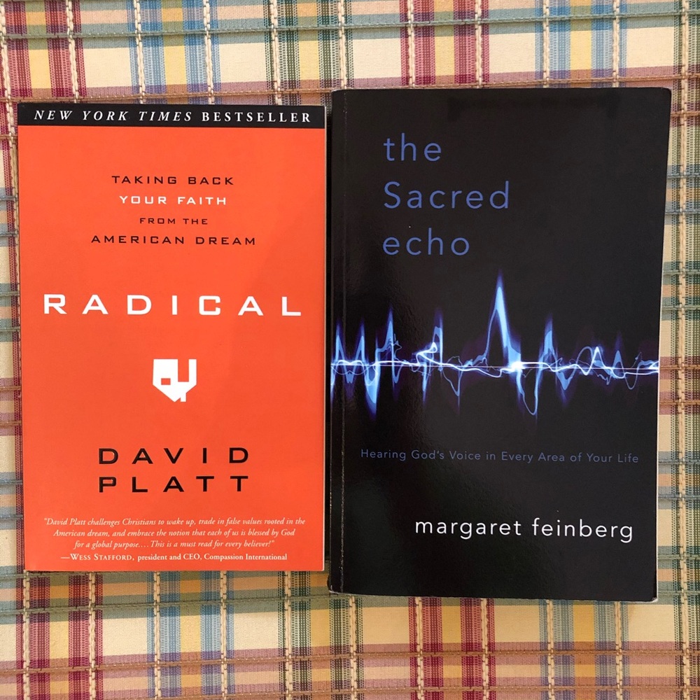 ⭐️2 books-$14⭐️ RADICAL & The Sacred Echo
